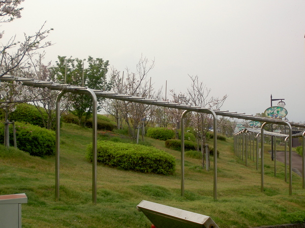高知県香南市　桜づつみ公園-世界最長のうんてい